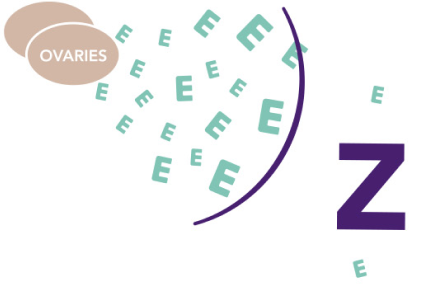 Illustration of how ZOLADEX reduces estrogen made by the ovaries and tamoxifen blocks estrogen from breast cancer cells